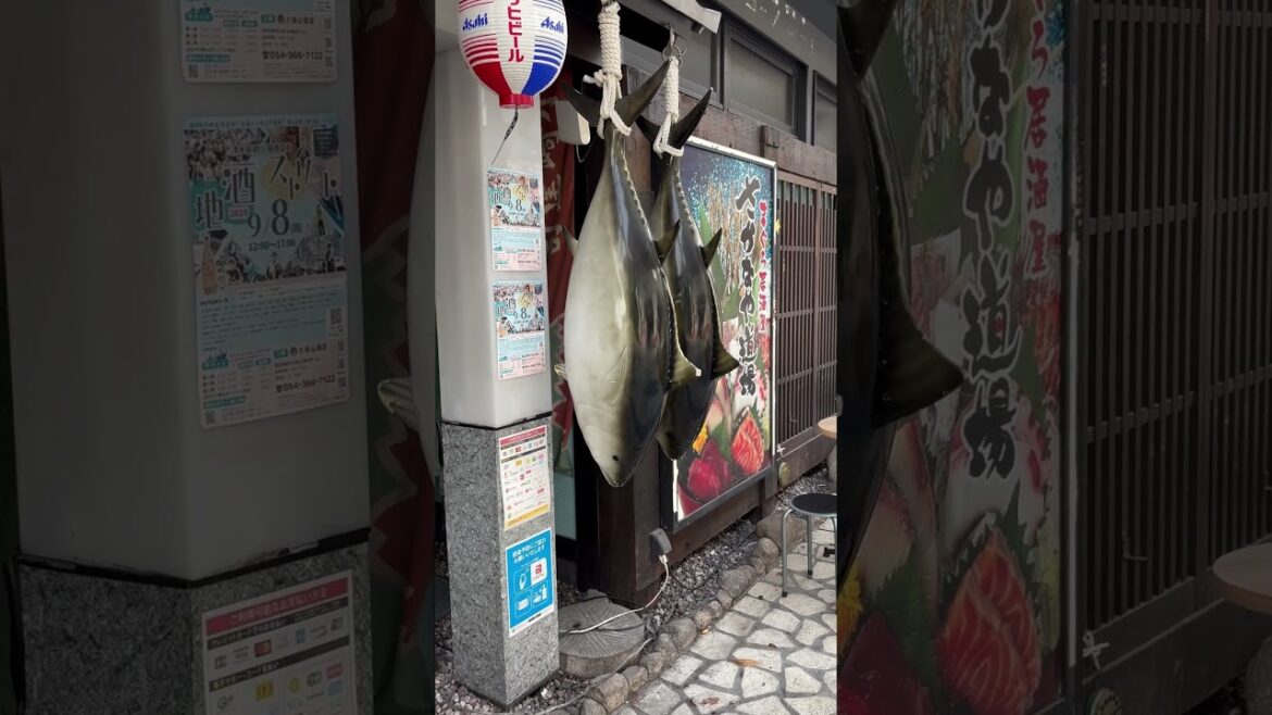 If you ever want to travel to Japan, Shizuoka #travel  #trip #japan #river #nature   #shorts