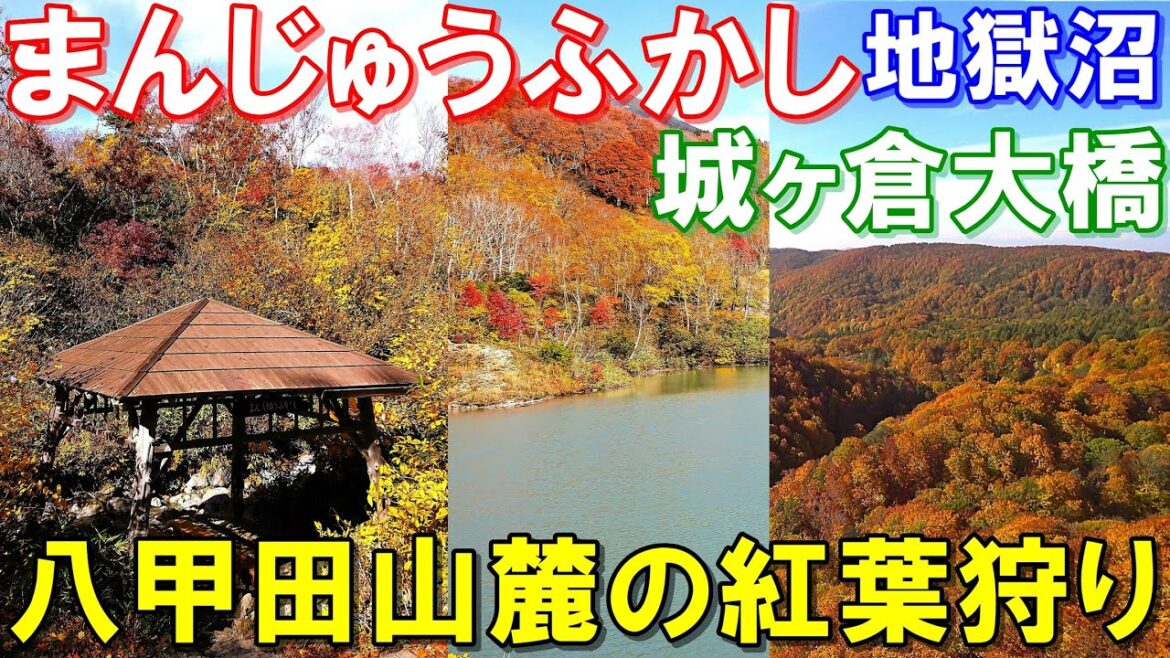 AOMORI『絶景紅葉狩り🍁八甲田山麓』まんじゅうふかし? Spectacular autumn foliage at the foot of Mt. Hakkoda. AOMORI『絶景紅葉狩り🍁八甲田山麓』まんじゅうふかし? Spectacular autumn foliage at the foot of Mt. Hakkoda.