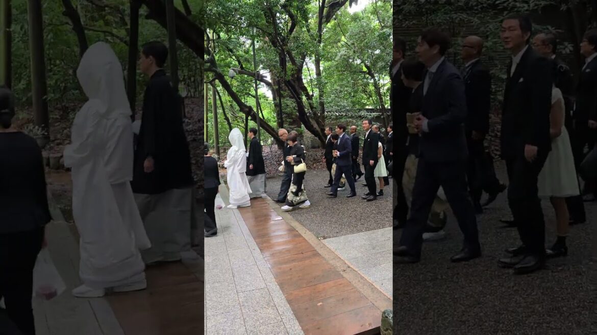 神職さんと巫女さん＆新郎新婦 お幸せに！ #shorts #熱田神宮