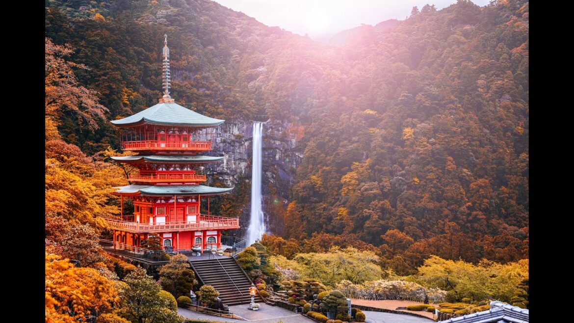 Kumano Kodo – Cung đường hành hương linh thiêng bậc nhất Thế giới tại Nhật Bản. Kumano Kodo - Cung đường hành hương linh thiêng bậc nhất Thế giới tại Nhật Bản.