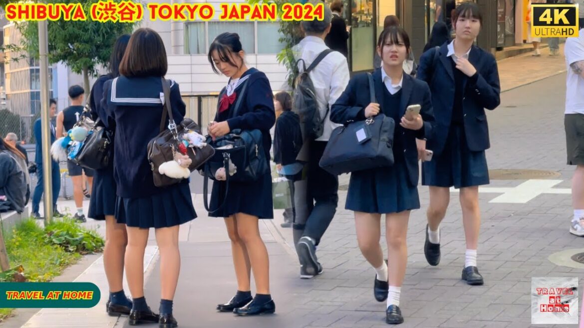 4k hdr Japan travel 2024 | Walk in Shibuya (渋谷) Tokyo Japan | Relaxing Natural City ambience 4k hdr Japan travel 2024 | Walk in Shibuya (渋谷) Tokyo Japan | Relaxing Natural City ambience