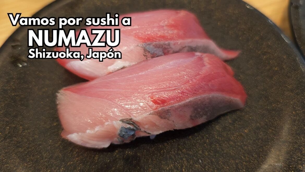 Vamos por sushi a NUMAZU. Descubriendo SHIZUOKA. Vamos por sushi a NUMAZU. Descubriendo SHIZUOKA.