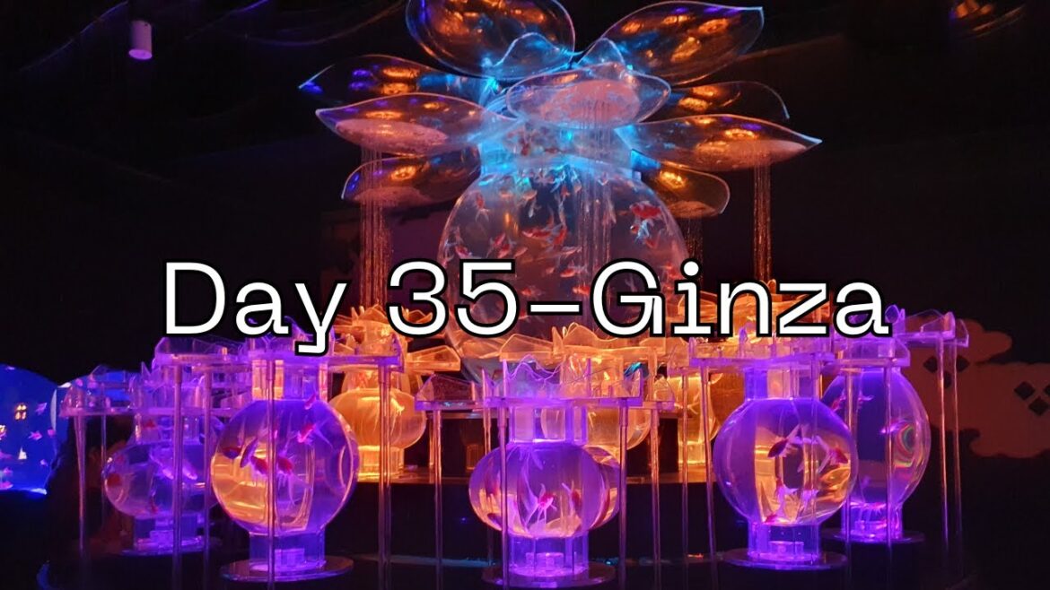 Solo travel vlogs – Day 35 Muji hotel & Ginza Solo travel vlogs - Day 35 Muji hotel & Ginza