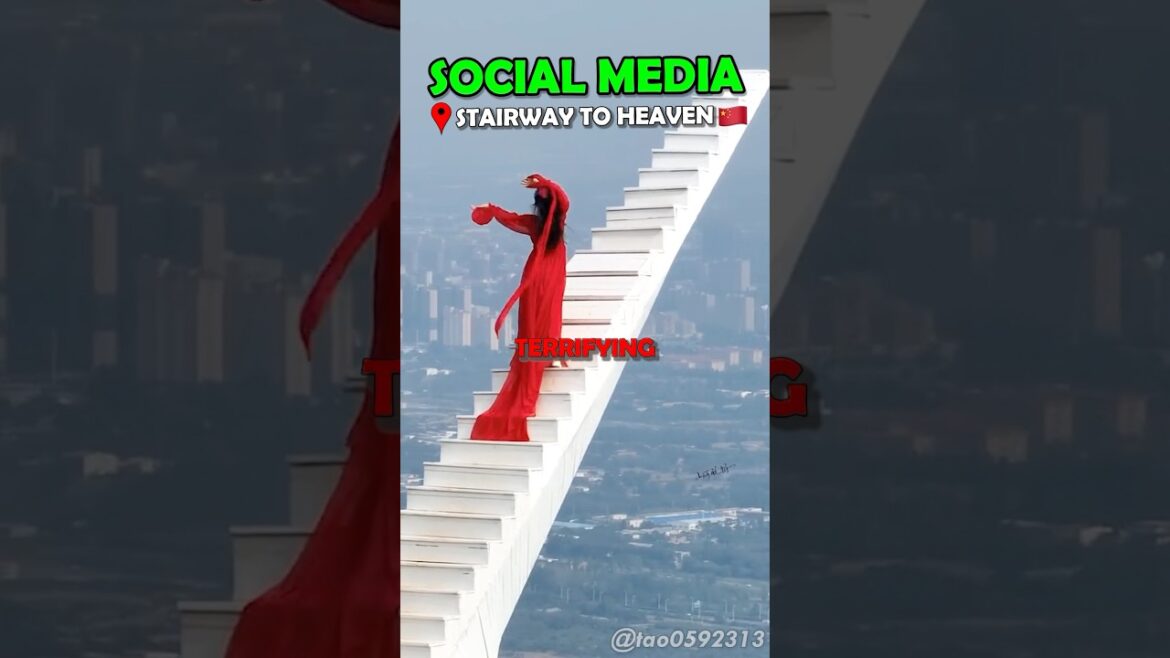 The Highest Places😵‍💫