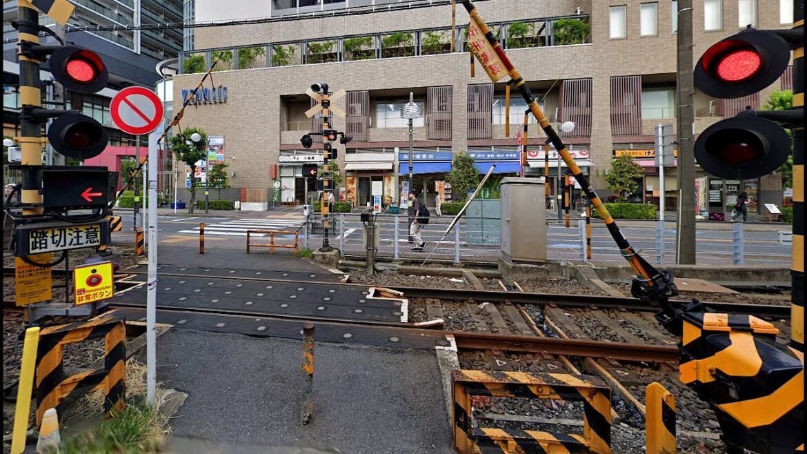 Tokyo Suburbs Walk: Kanamachi Area Exploring | JAPAN LIVE STREAMS 2024