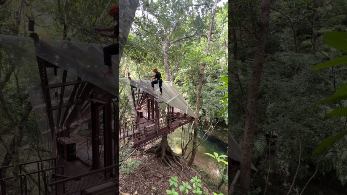 How we clean our Treehouse rooftop #treehouse #roofcleaning