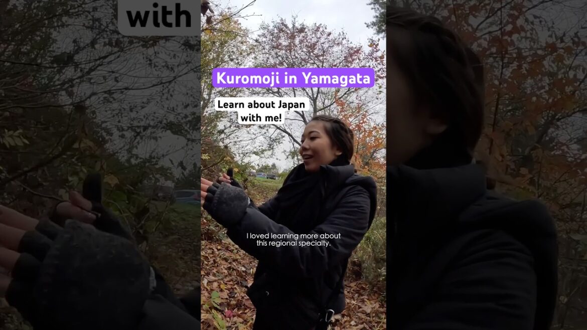Learning about kuromoji while on a tourism trip in Yamagata 🇯🇵🍂 #discoverjapan