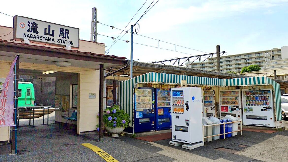 Exploring Residential Japan: Nagareyama in Chiba Prefecture! | JAPAN LIVE STREAMS 2024