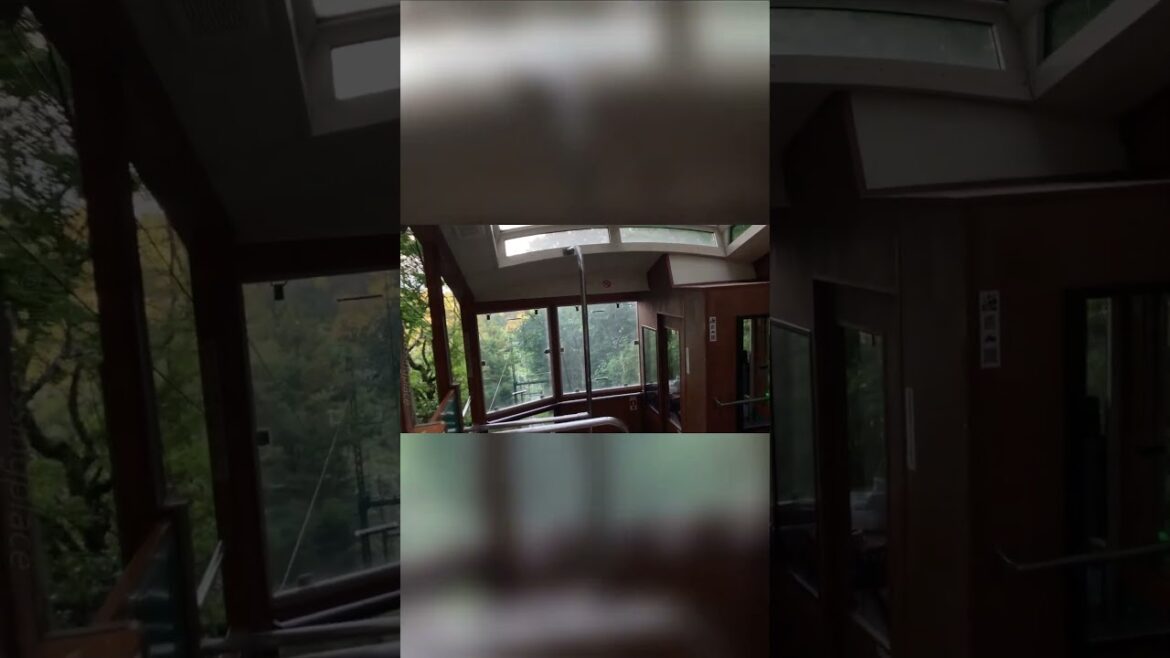 日本神戶六甲山纜車上山沿途景色 10  #travel