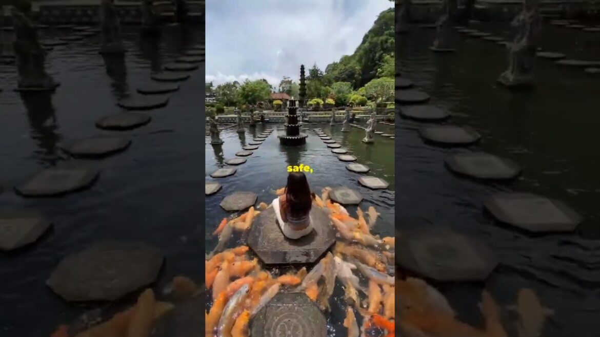 Solo Travel Destinations, Best Places to Visit Alone #solotravel #nature #travel #solotrip #shorts