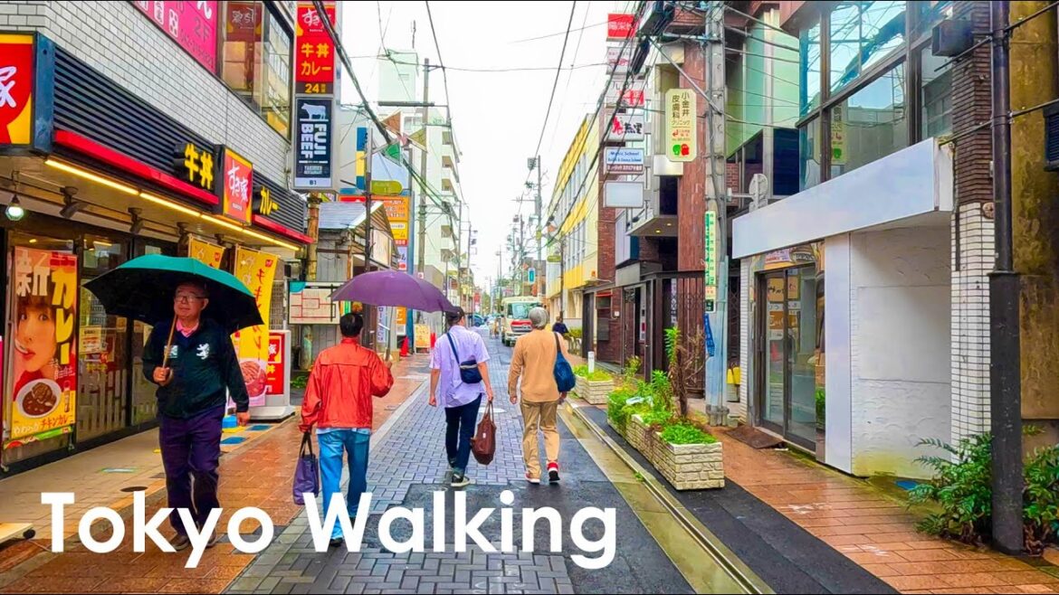 Japan Virtual Walking Tour in Koganei City Tokyo 4K October 2024 Japan Virtual Walking Tour in Koganei City Tokyo 4K October 2024