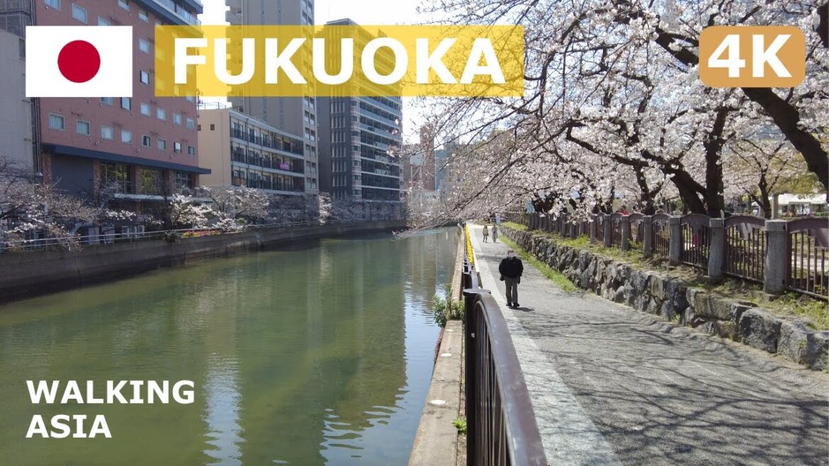 🇯🇵 Japan, Fukuoka: Fukuoka Red Brick Culture Museum Walking, Tenjin Central Park Tour - 4K