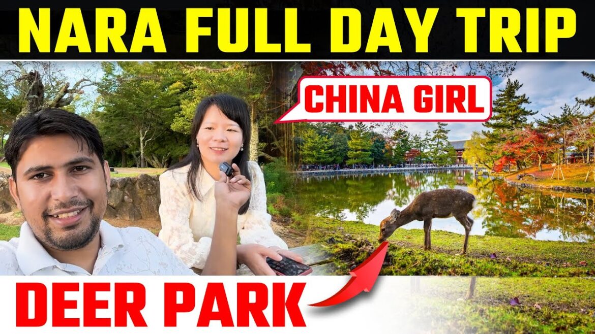 Nara Day Trip | Nara Day Trip from Kyoto | Japan Vlog | Kyoto Vlog Nara Day Trip | Nara Day Trip from Kyoto | Japan Vlog | Kyoto Vlog