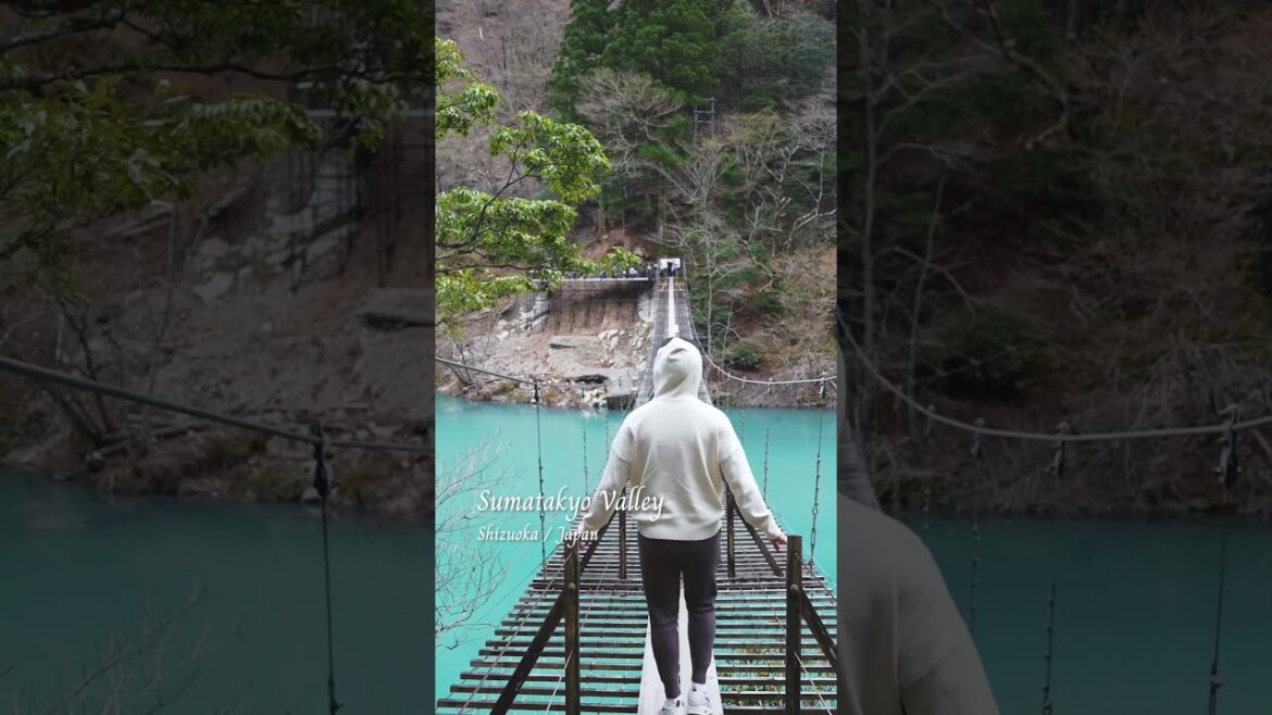 Sumatakyo Valley｜Shizuoka｜JAPAN