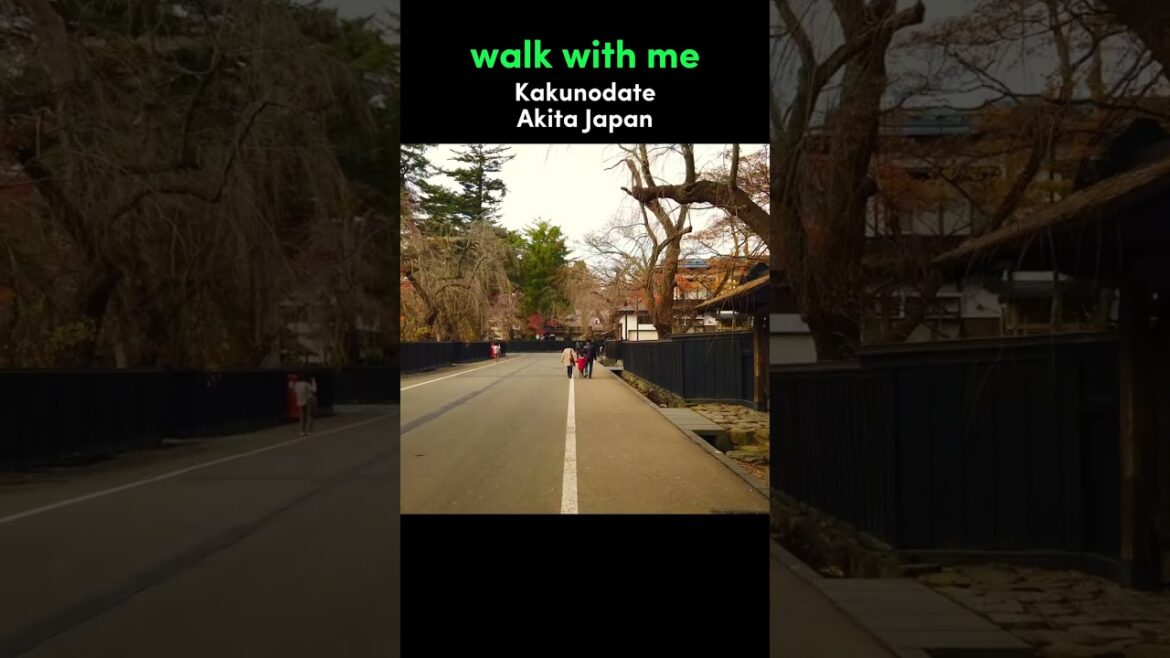 Walk With Me in Kakunodate | Akita Japan Walking Tour