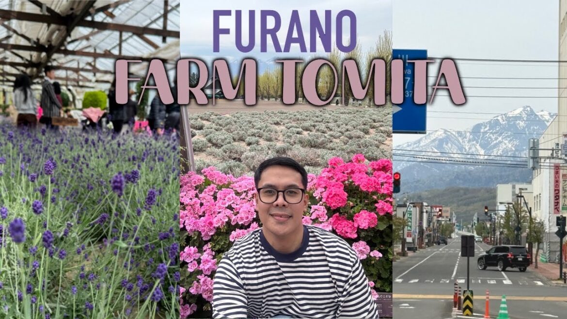 Exploring Hokkaido 🇯🇵 DIY trip to Furano, Farm Tomita | Days 5 | Part 1