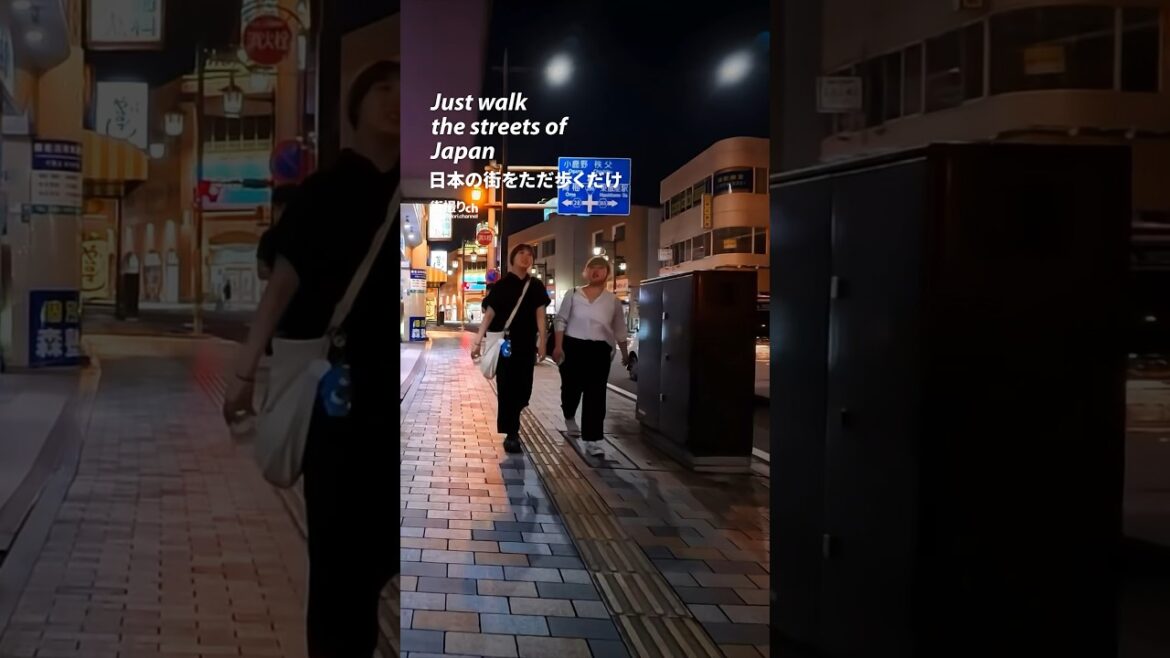 Saitama: Hanno Station (埼玉県: 飯能駅) - Japan Walking Tour #machidorichannel #shorts #shortvideo
