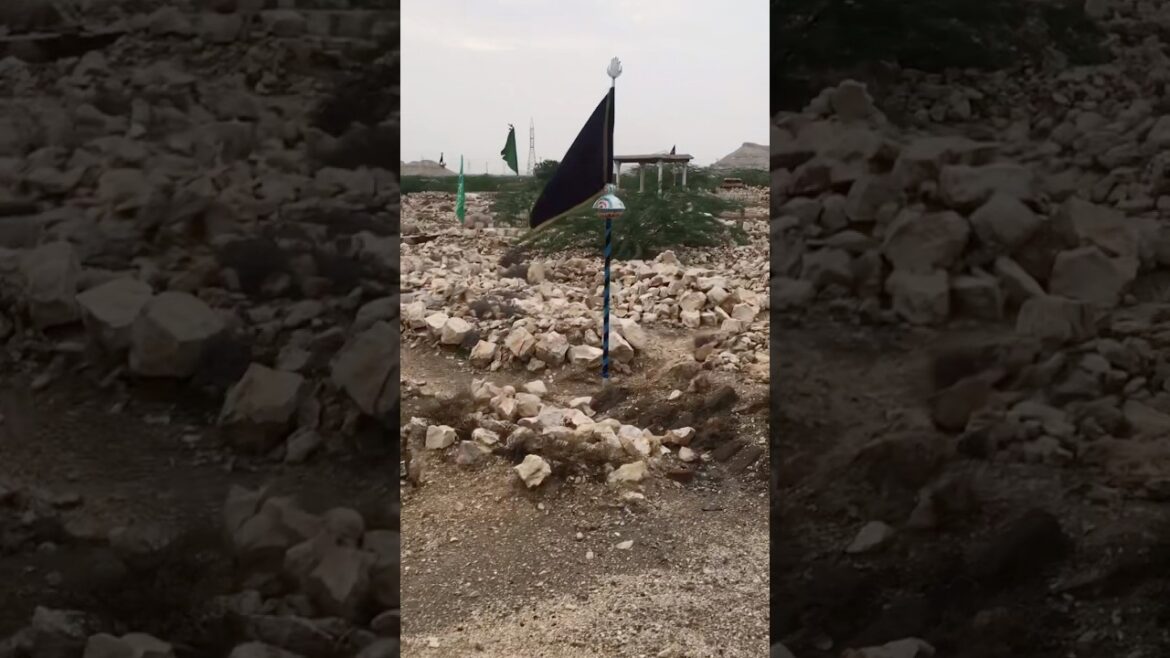 Alamo wala qabristan Alamo wala qabristan