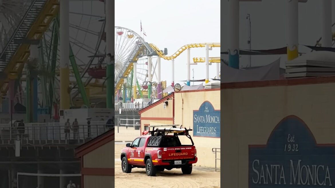 Highlights from Hollywood Bus Tours Taste of LA half day tour