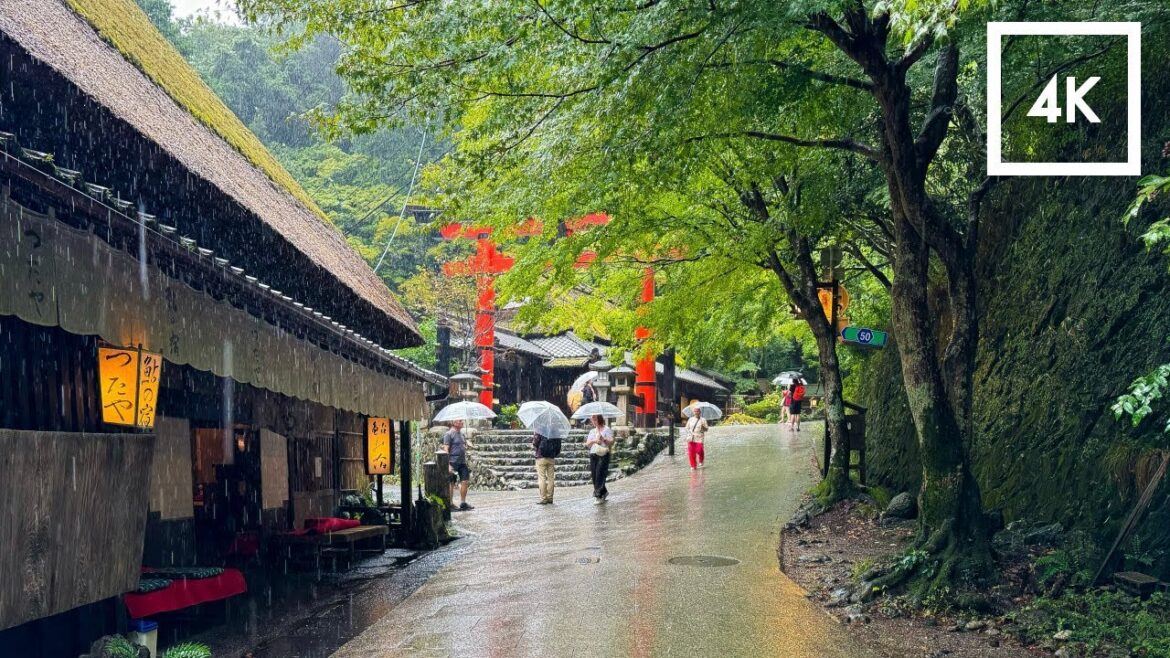 ☔️ Walking for 60 minutes in the suburbs of Kyoto. Discover the charm of Japan // Autumn 2024 ☔️ Walking for 60 minutes in the suburbs of Kyoto. Discover the charm of Japan // Autumn 2024