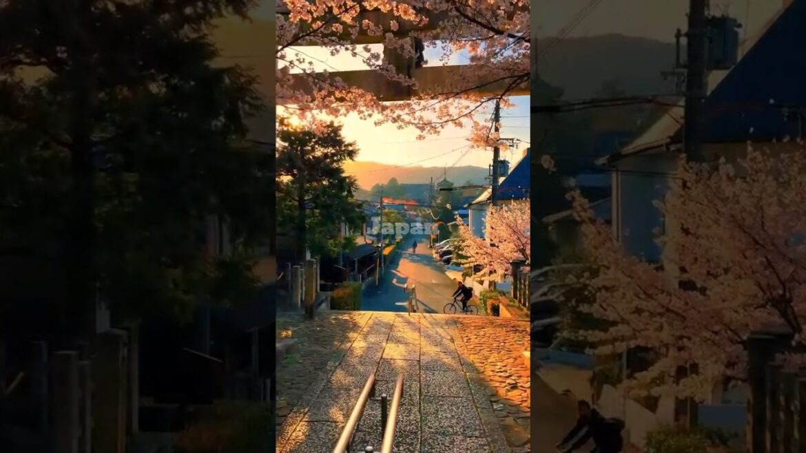 beautiful japan 🎌 ❤️ #japan #travel #trending