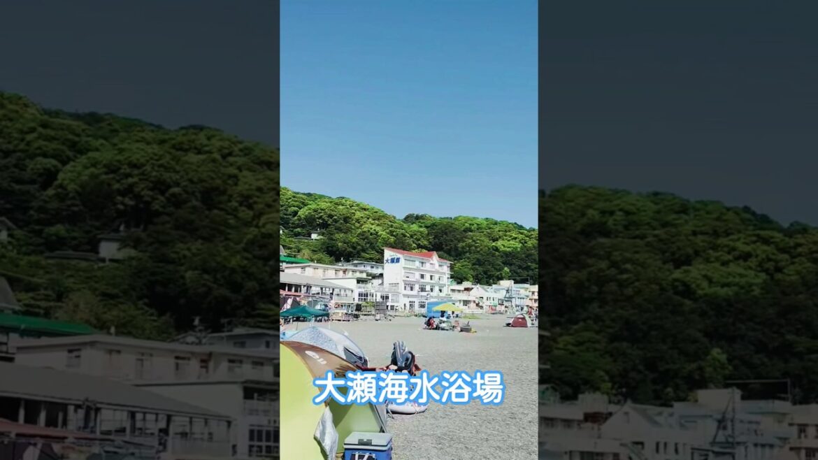 大瀬海水浴場 #ビャクシン #大瀬埼灯台 #神池 #大瀬浜 #大瀬崎 #駿河湾 #西伊豆 #大瀬神社 #天然記念物 #灯台 #神社 #沼津 #静岡県 #静岡 #スキューバ #御神木 #海水浴場 大瀬海水浴場 #ビャクシン #大瀬埼灯台 #神池 #大瀬浜 #大瀬崎 #駿河湾 #西伊豆 #大瀬神社 #天然記念物 #灯台 #神社 #沼津 #静岡県 #静岡 #スキューバ #御神木 #海水浴場