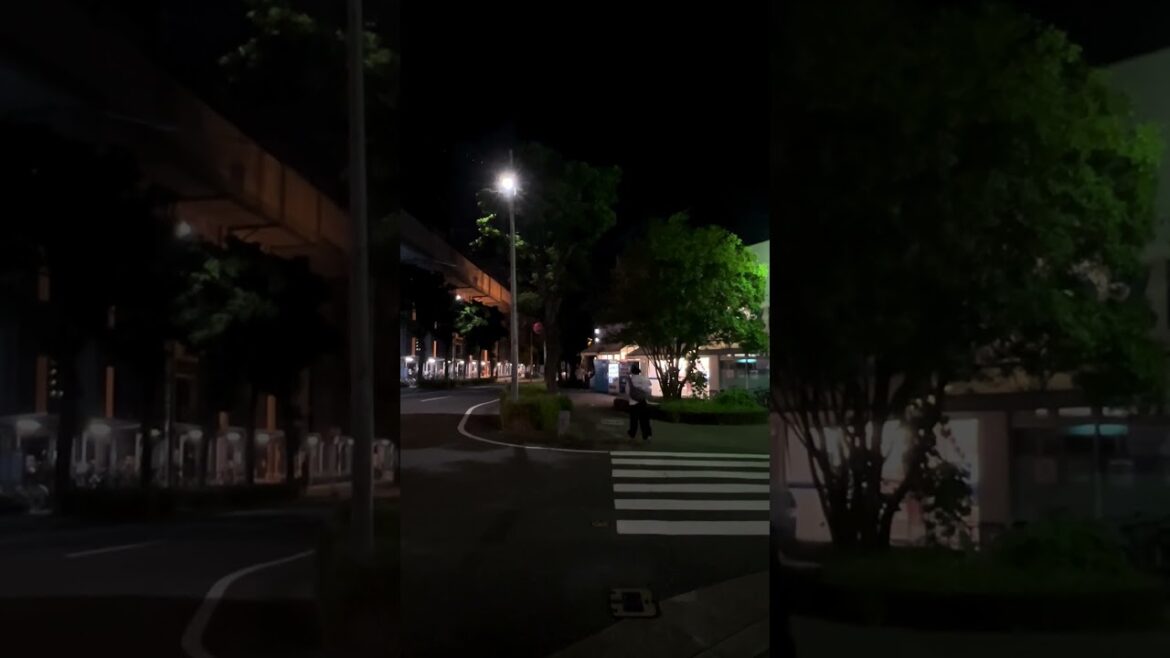 9:40pm Sept 2024 Japan City #nightview #streetview #citylife #explorejapan #japantravel #chillvibes