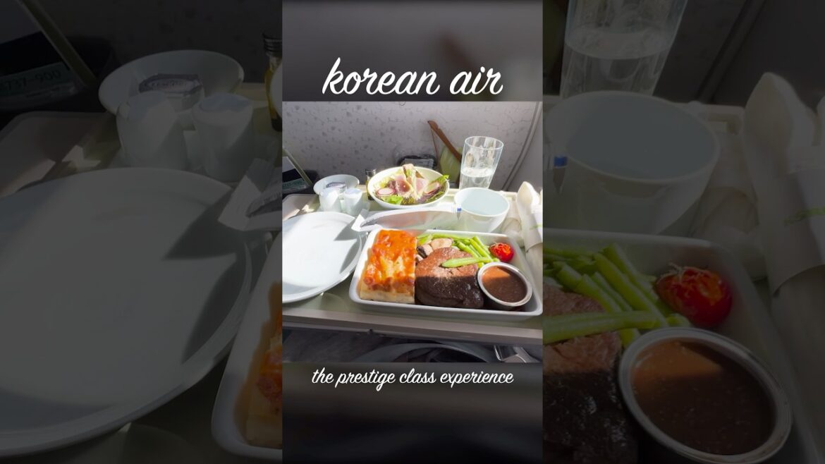 My Korean Air Prestige Class Experience ✈️ #shorts #korea #travel #plane #review My Korean Air Prestige Class Experience ✈️ #shorts #korea #travel #plane #review