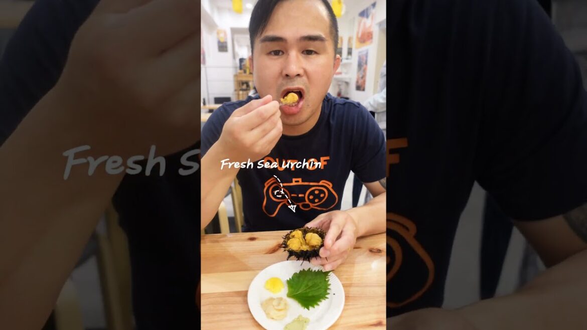 12 things to do in Osaka, Japan -Dotonbori-Takoyaki -Kuromon Market – Tiger Prawns-Oaska Castle 12 things to do in Osaka, Japan -Dotonbori-Takoyaki -Kuromon Market - Tiger Prawns-Oaska Castle