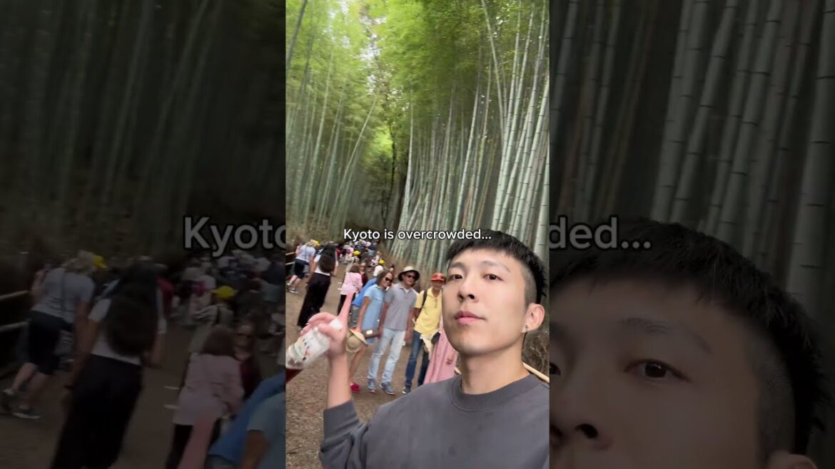 πΈ Most Beautiful Places in Japan You NEED to Visit! π―π΅ π #JapanTravel π―π΅ #BeautifulJapan #shorts πΈ Most Beautiful Places in Japan You NEED to Visit! π―π΅ π #JapanTravel π―π΅ #BeautifulJapan #shorts