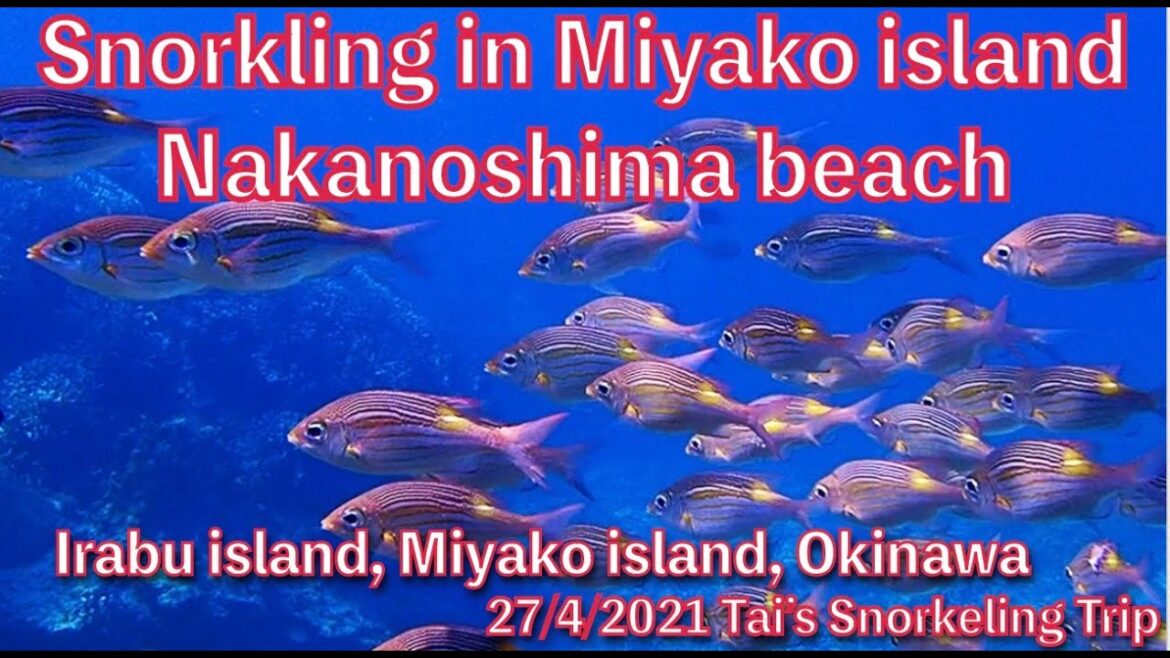 【#34 Tai’s Snorkeling Trip in Okinawa】Nakanoshima beach, Irabu island, Miyako island, Okinawa, Japan 【#34 Tai’s Snorkeling Trip in Okinawa】Nakanoshima beach, Irabu island, Miyako island, Okinawa, Japan