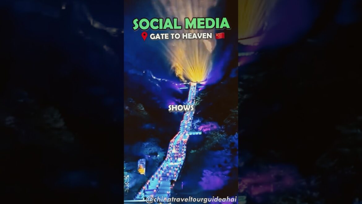 Which One Is Higher?!✨ Which One Is Higher?!✨