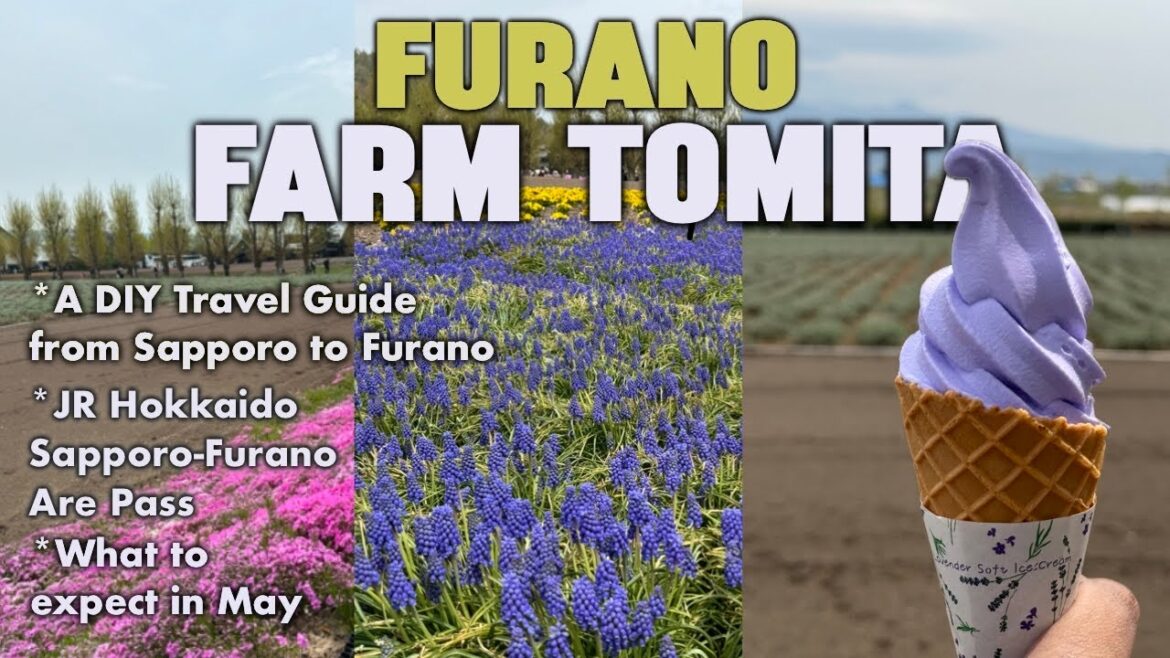 Exploring Hokkaido Japan 🇯🇵 DIY trip to Farm Tomita, Furano | Day 5 | Part 1