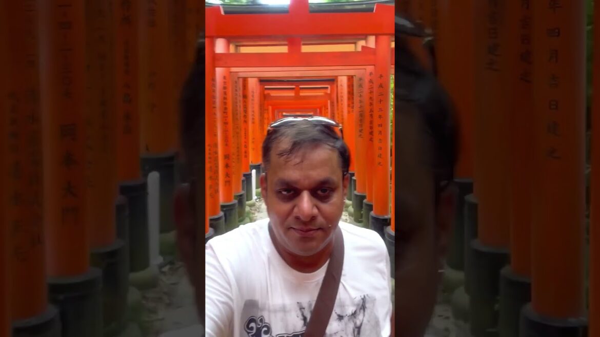 Osaka’s Hidden TORII GATES Exposed Osaka's Hidden TORII GATES Exposed