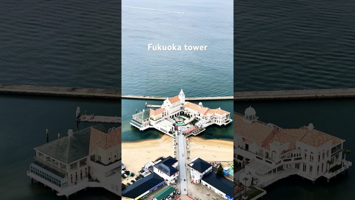 Fukuoka Tower views | Japan travel tips 2024 #japan #shorts #fukuokatower #fukuokajapan #travel
