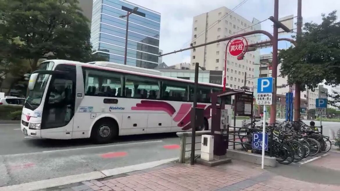 LIVE! Japan Japan city walking 2024