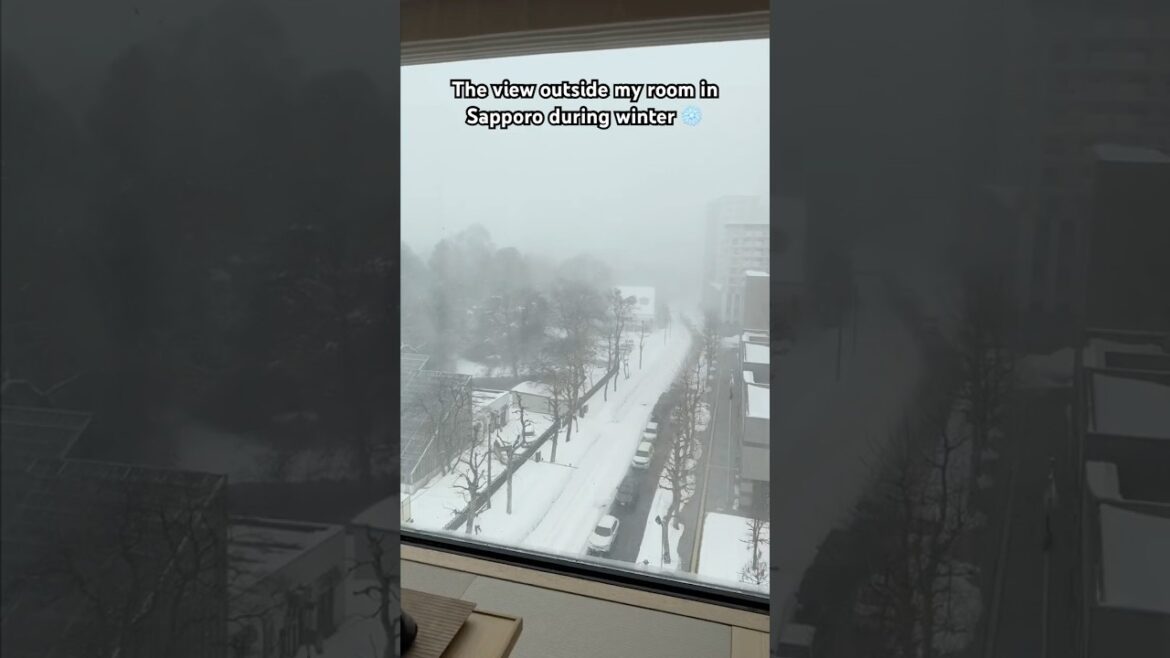 Snowstorms in Sapporo be WILD 🥶 #shorts #japan #travel