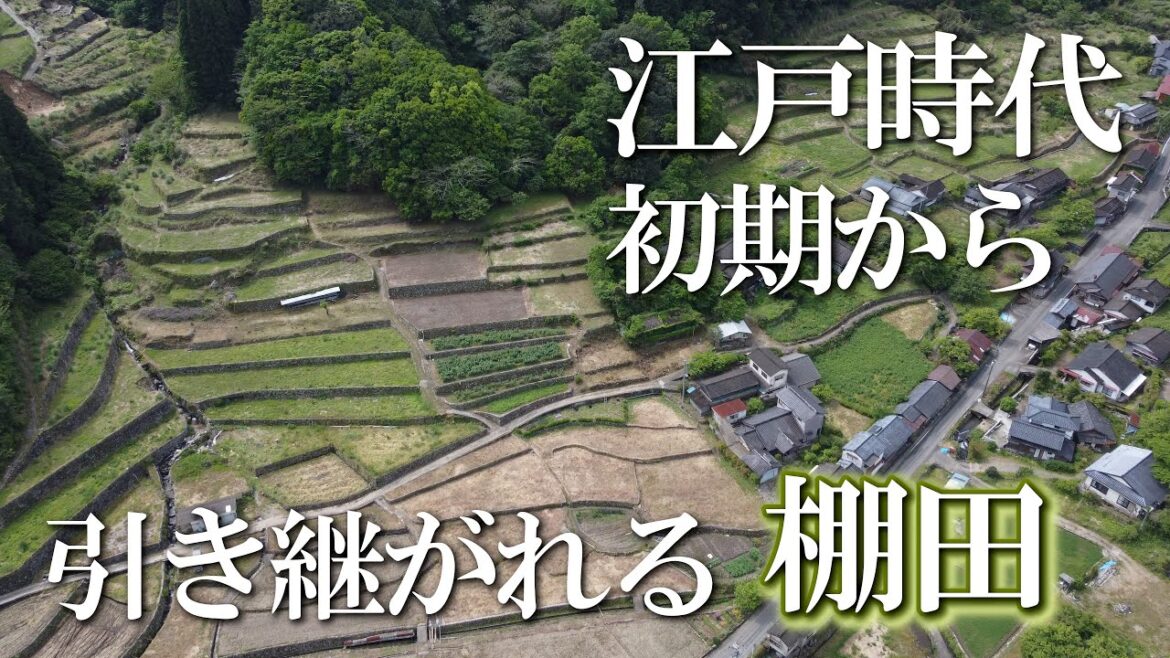 【熊本】鬼ノ口の棚田　編　（ Vol.343 ）／風情ある山里の風景を満喫！【4K空撮】