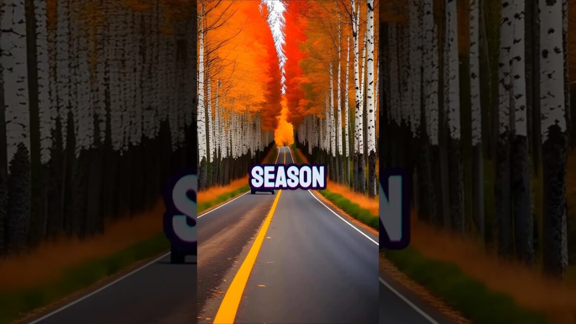 Japan Is More Beautiful Than You Thought Japan Is More Beautiful Than You Thought