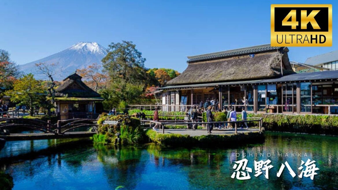 The mysterious blue lagoon of Oshino Hakkai / One of the best viewing points of Mount Fuji – 忍野八海 The mysterious blue lagoon of Oshino Hakkai / One of the best viewing points of Mount Fuji - 忍野八海