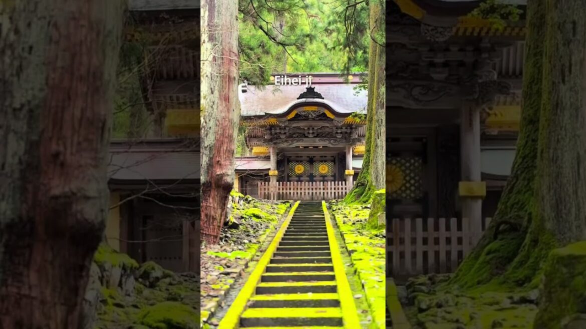 When people visit Japan but miss places like this… When people visit Japan but miss places like this...