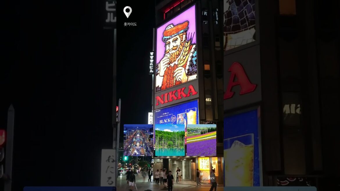 [트립비토즈] ❄️삿포로에 갈까요.