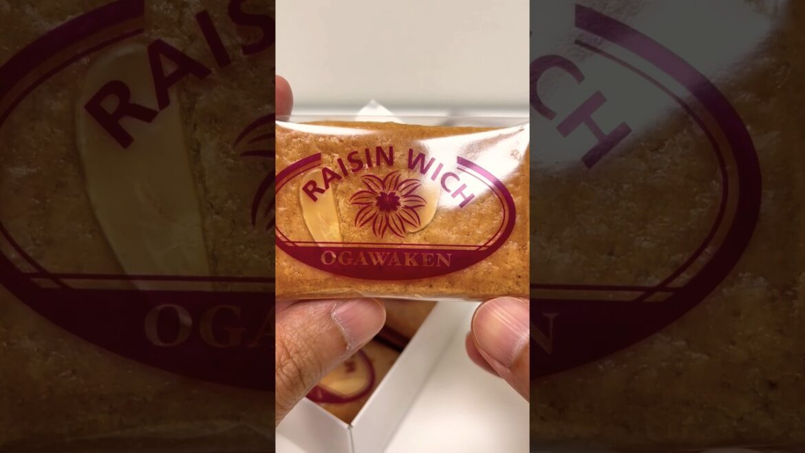 Raisin Wich My favorite Treats #shorts