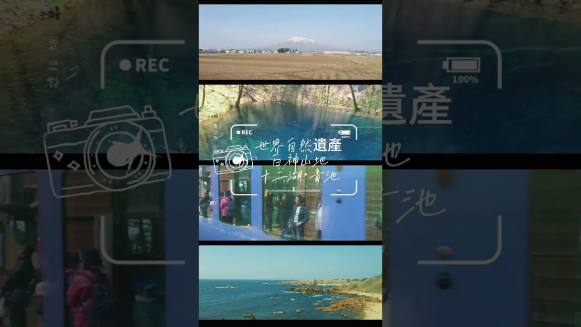 世界自然遺產白神山地十二湖·青池 #japantravel #青森 #travel