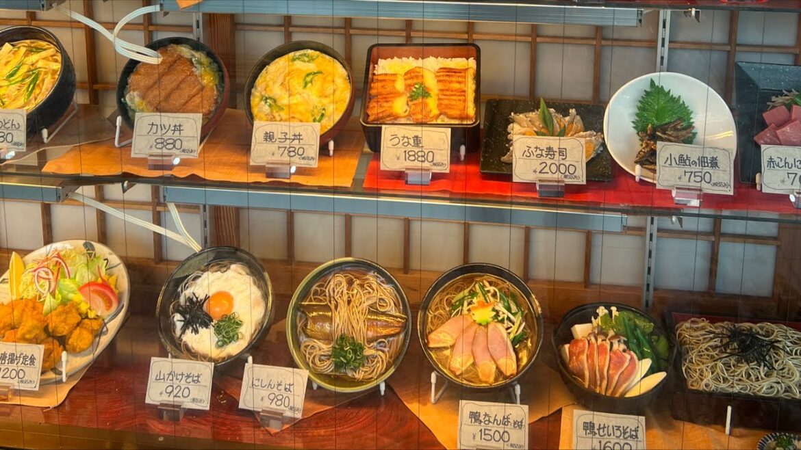 Walk in Hikone | Shiga Prefecture Walk in Hikone | Shiga Prefecture