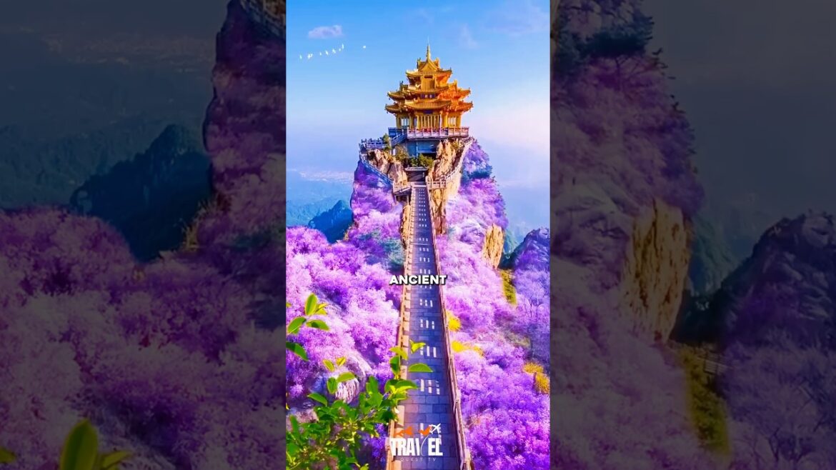 5 wonders of Japan #travel #places #destinations#world #wonders