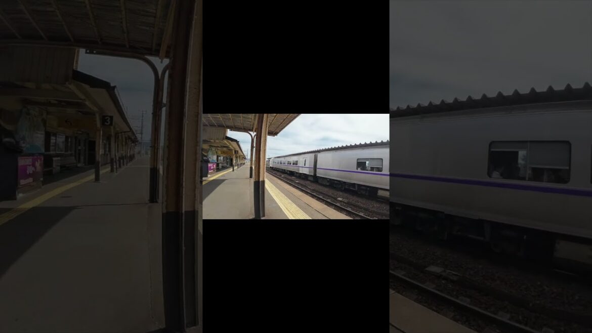 Japanese JR train in Hokkaido 🚃💨💨#shorts #Japan #Hokkaido #travel #train