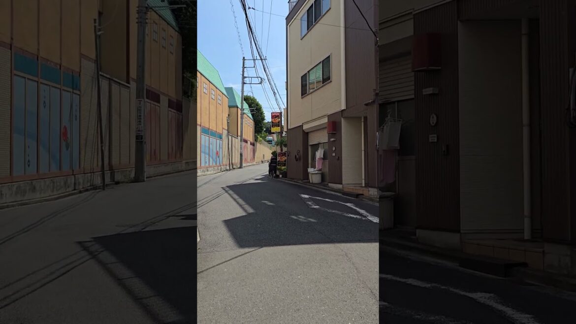 横浜市 神奈川区 / Yokohama,Japan🇯🇵