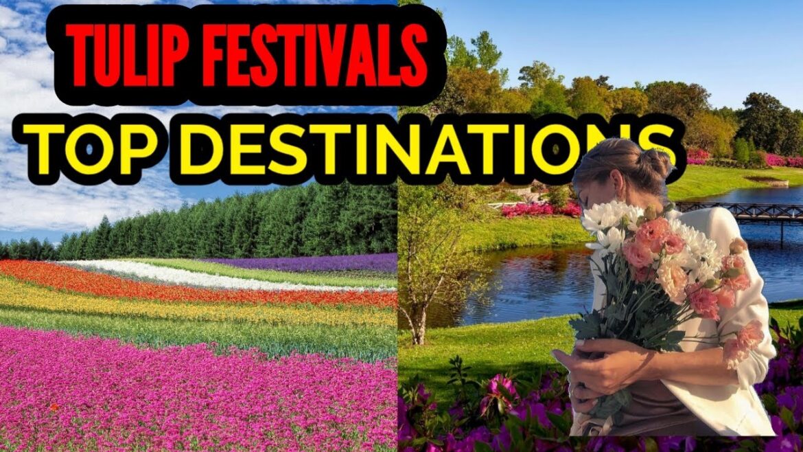 Top Destinations in the World to Experience Tulip Festivals