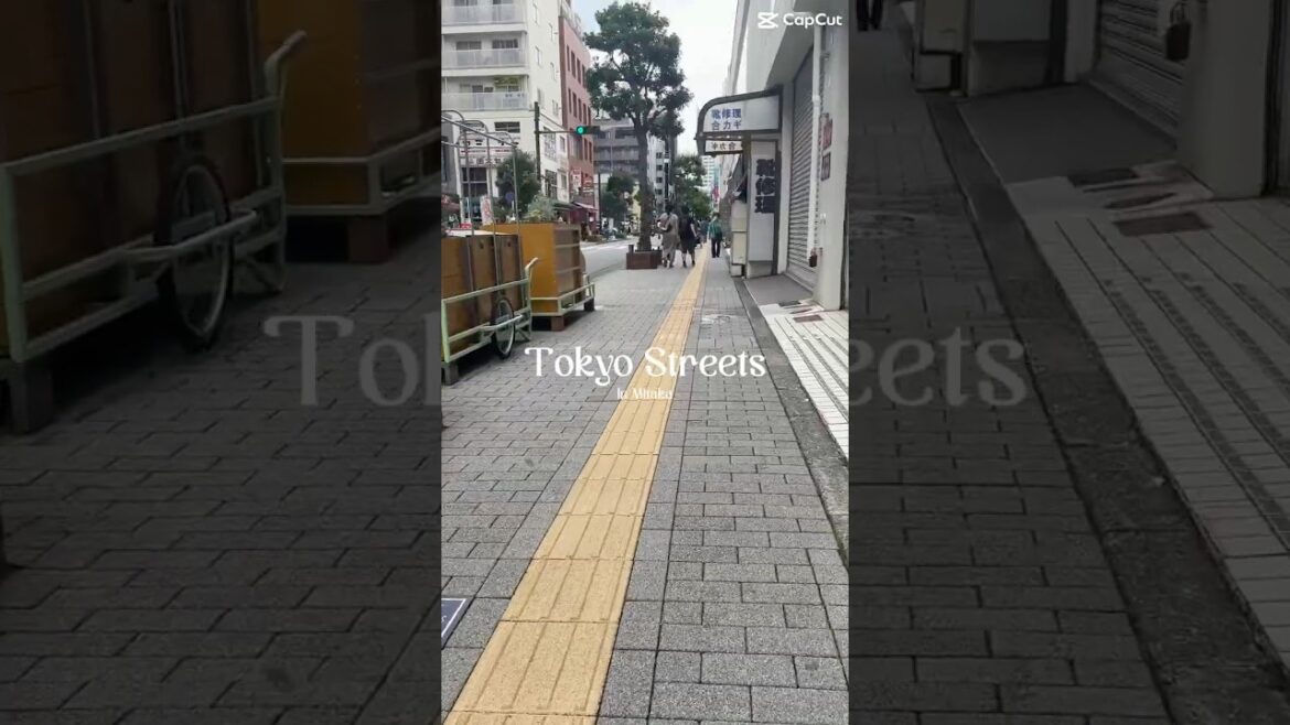 Just walking through #tokyo ๐ถ๐ถ#japantravel #tokyostreet Just walking through #tokyo ๐ถ๐ถ#japantravel #tokyostreet